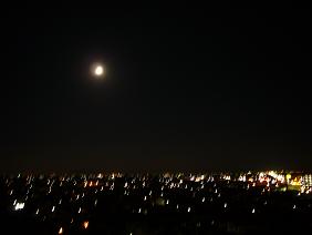 b0019182_21492758.jpg
