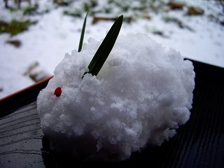 c0033992_23772.jpg