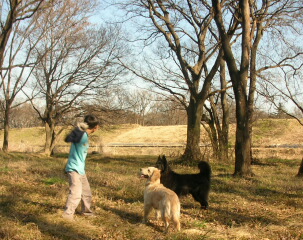 f0109202_20304046.jpg