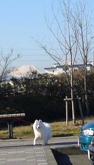 e0018604_22464489.jpg