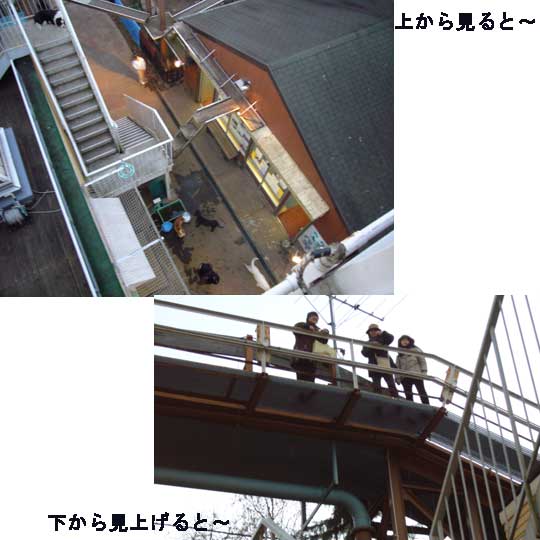 e0018604_236124.jpg