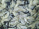 e0028505_14595051.jpg