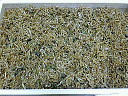 e0028505_6261922.jpg