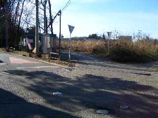 c0051112_23233927.jpg