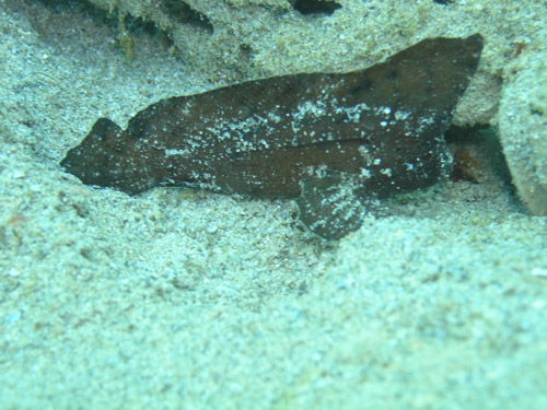 c0070933_20222169.jpg