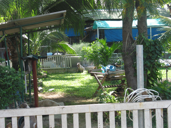 f0077150_6562981.gif