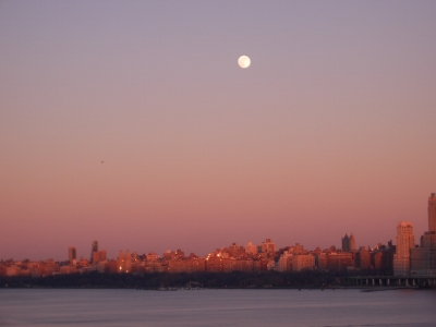 b0031055_7312252.jpg