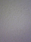 d0007957_037495.jpg