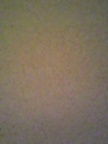 d0007957_0381379.jpg