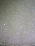 d0007957_0414729.jpg