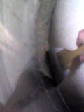 d0007957_23383867.jpg