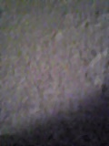 d0007957_2344357.jpg