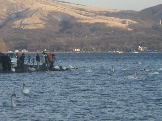 厳冬の富士と山中湖_e0017562_1217079.jpg