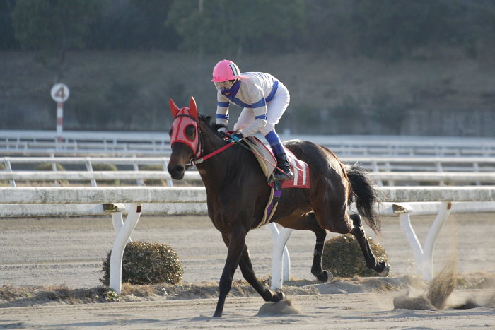 2007年2月3日（土） 高知競馬 10R 清流四万十特別_a0077663_1942617.jpg