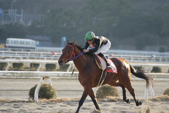 2007年2月3日（土） 高知競馬 10R 清流四万十特別_a0077663_1945050.jpg