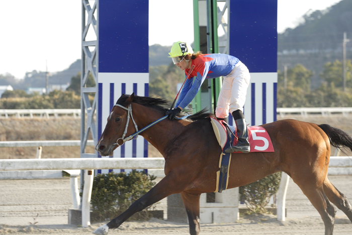 2007年2月3日（土） 高知競馬 10R 清流四万十特別_a0077663_1951242.jpg