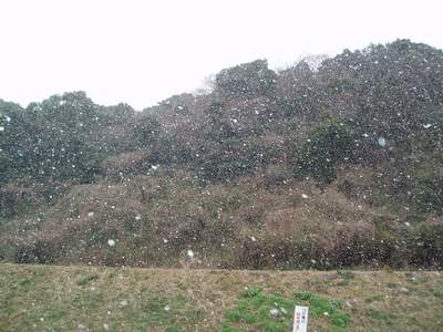 雪中散歩_a0077071_842635.jpg