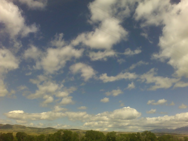 c0103793_4511780.jpg
