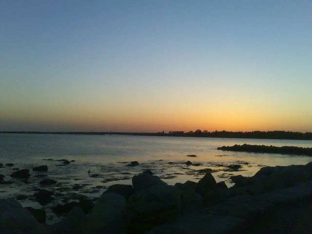 c0103793_4552692.jpg