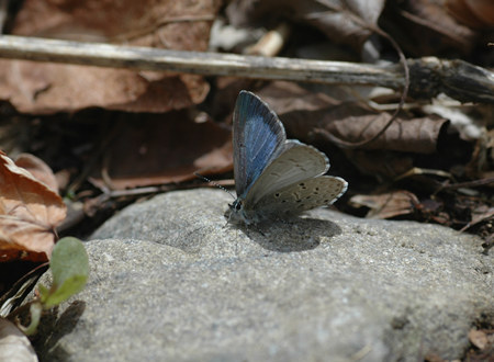 c0049095_23103534.jpg