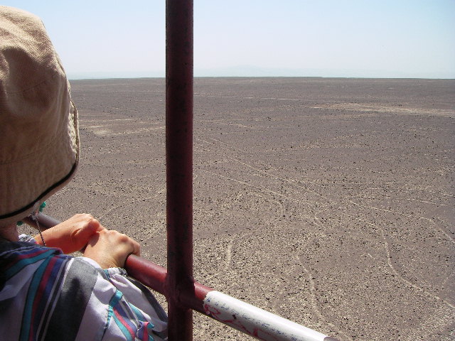 f0038407_1194152.jpg