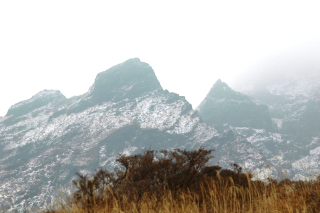 f0000330_1621261.jpg