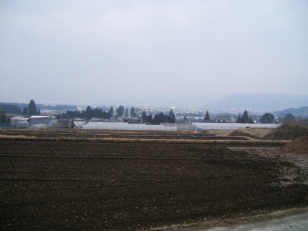 f0000330_168188.jpg