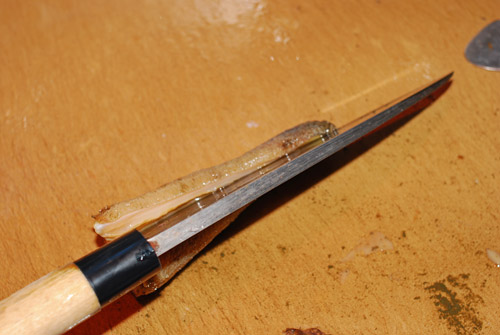 ミル貝の捌き方.........貝殻を器に使いましょう！_d0069838_1210288.jpg