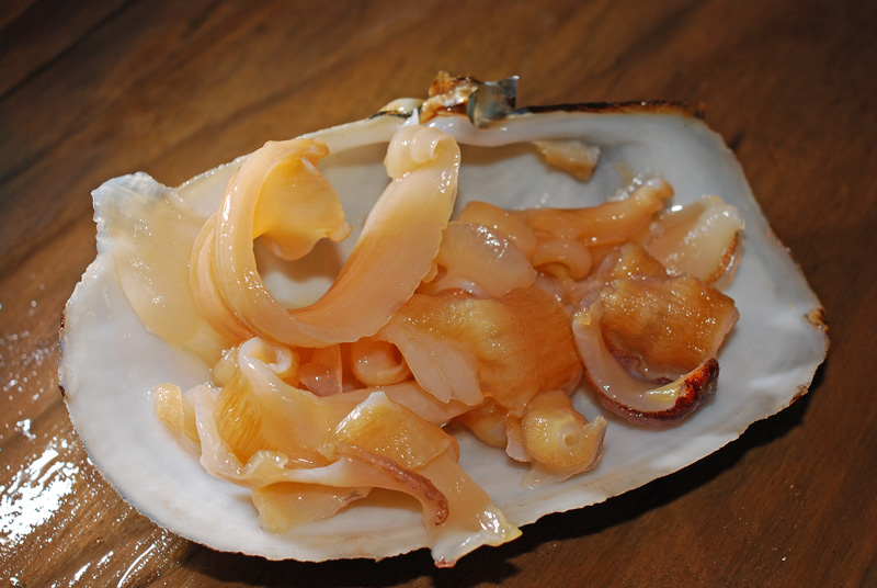 ミル貝の捌き方 貝殻を器に使いましょう 魚屋三代目日記