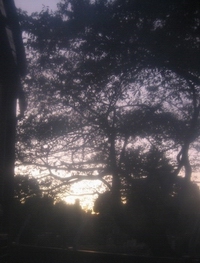 e0088444_9371969.jpg