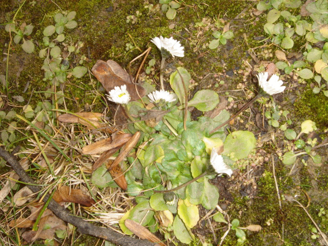 f0077150_20161583.gif