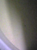 d0007957_23192312.jpg