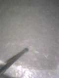 d0007957_23221848.jpg