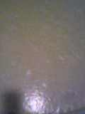d0007957_23232990.jpg