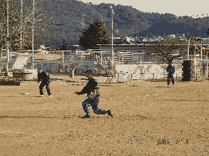 立春 砂嵐の中でソフトボール 小次郎じじ物語 立春 砂嵐の中でソフトボール 小次郎じじ物語
