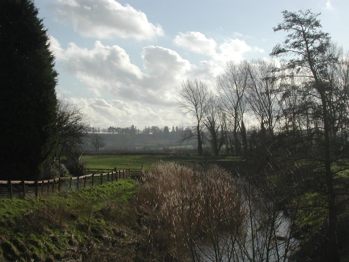 f0080372_6581548.jpg