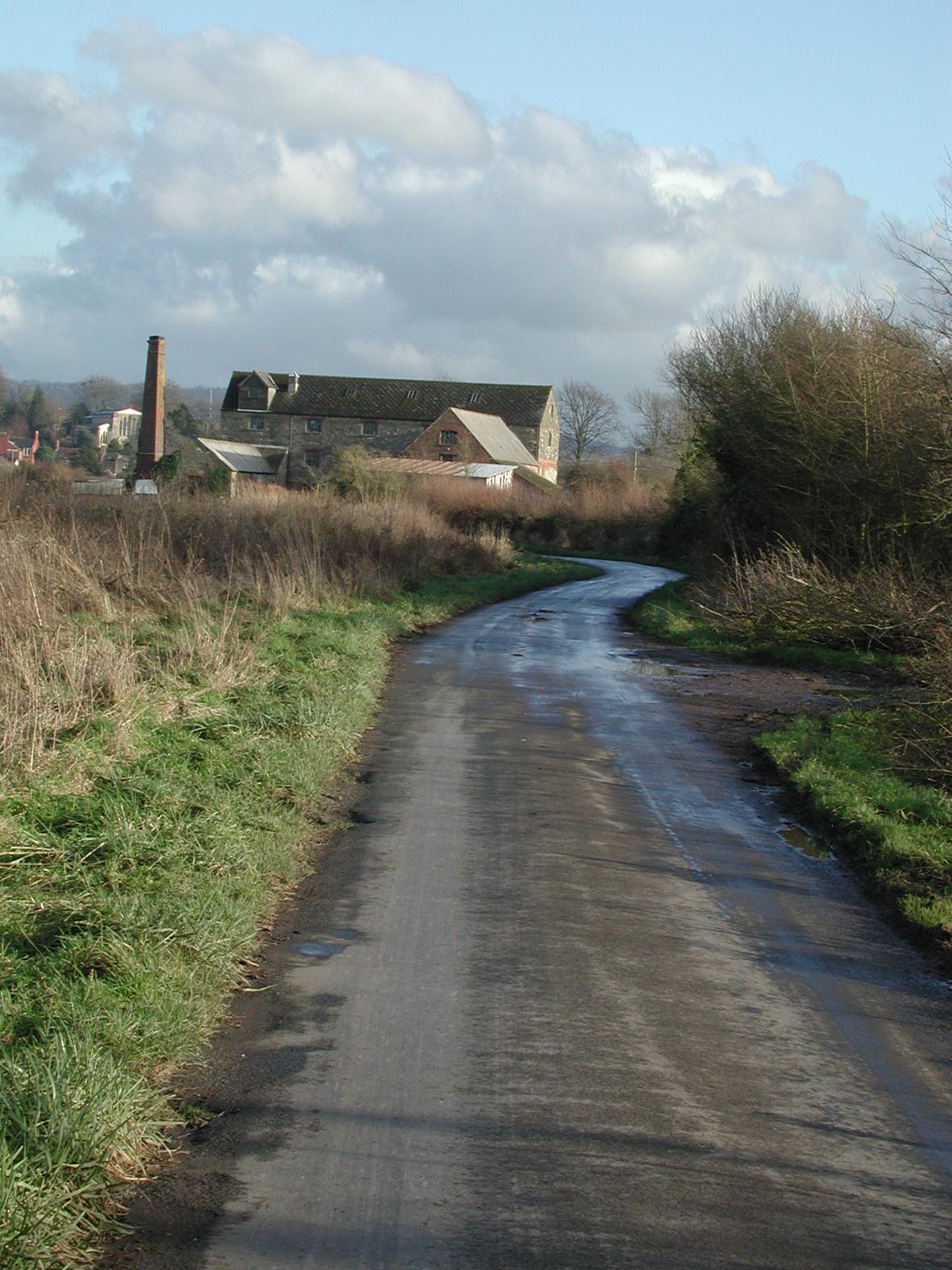 f0080372_712743.jpg