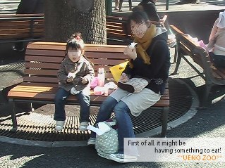 **上野動物園**_e0099674_10553824.jpg