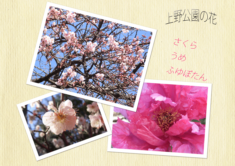 f0092775_23125236.gif