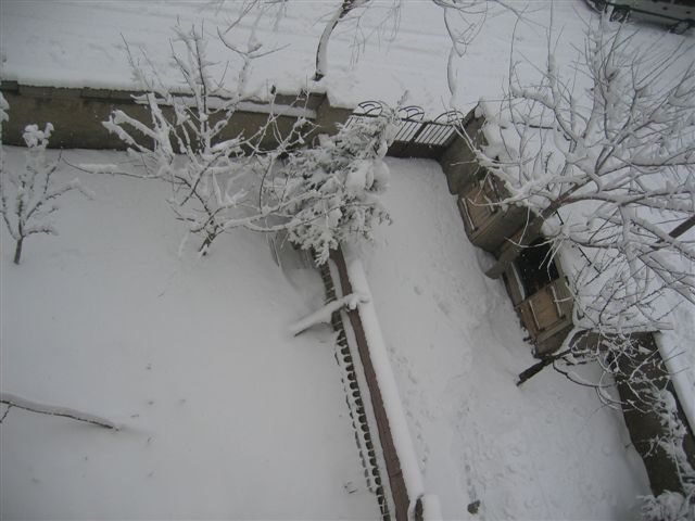 大雪_b0091783_48640.jpg