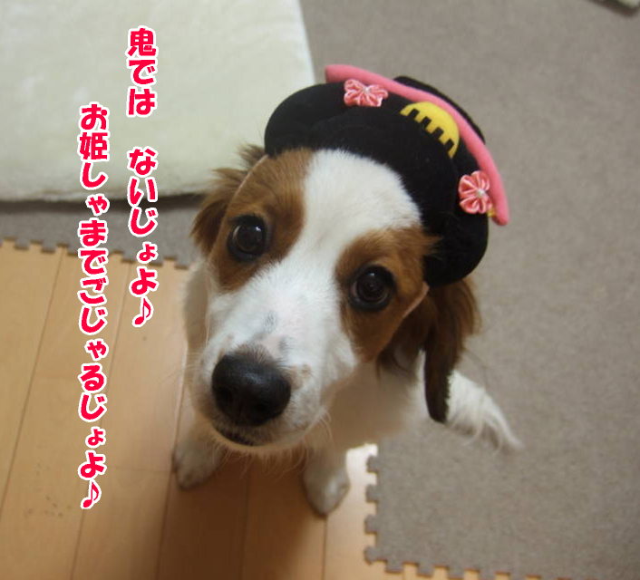 c0075585_373070.jpg