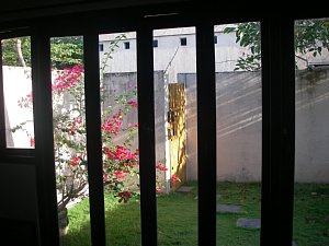 a0036499_1051241.jpg