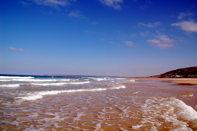e0061699_84743.jpg