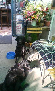 c0050400_15124799.jpg