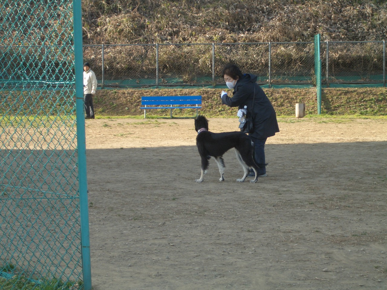 今日は初めての「あおばプラザハウスドッグラン」_f0101201_21134982.jpg