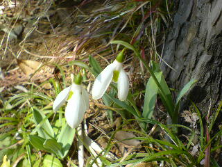 f0052603_2394081.jpg