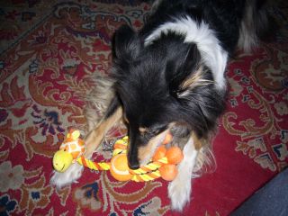 e0039206_23213622.jpg