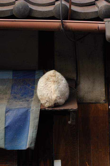 f0032011_20493575.jpg