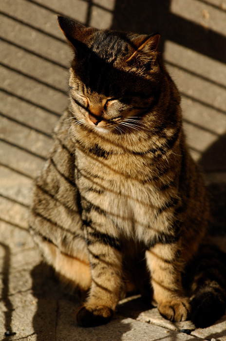 f0032011_2050354.jpg