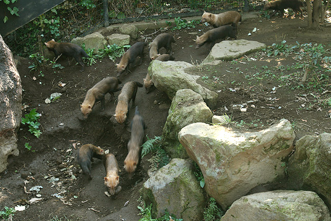 習性?_b0057213_158653.jpg